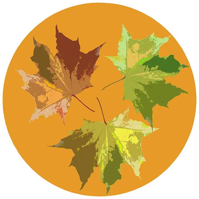 Autumn Leaves Butternut 16" Round Pebble Placemat Set of 4