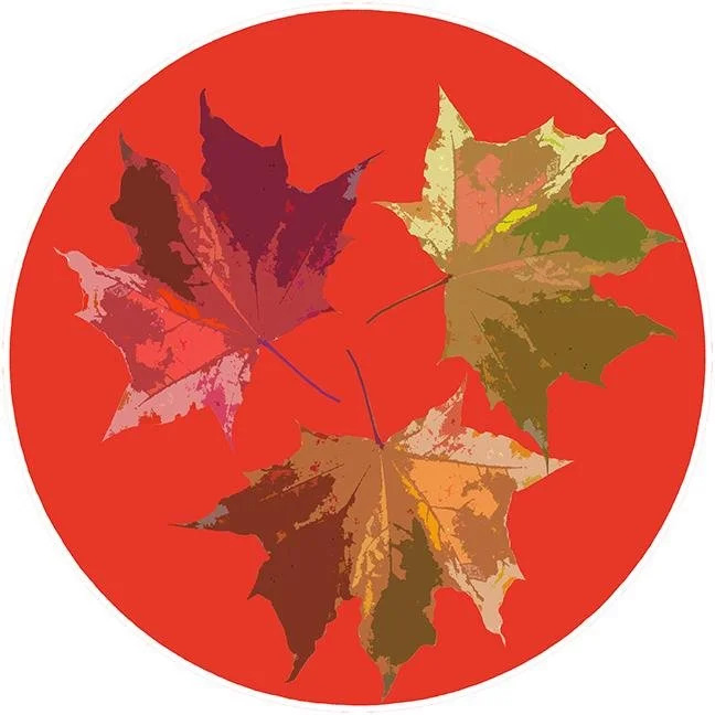 Autumn Leaves Pumpkin 16" Round Pebble Placemat Set of 4