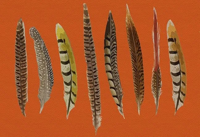 Pheasant Feathers Orange 17.5 "x12" Rectangle Pebble Placemats, Set of 4