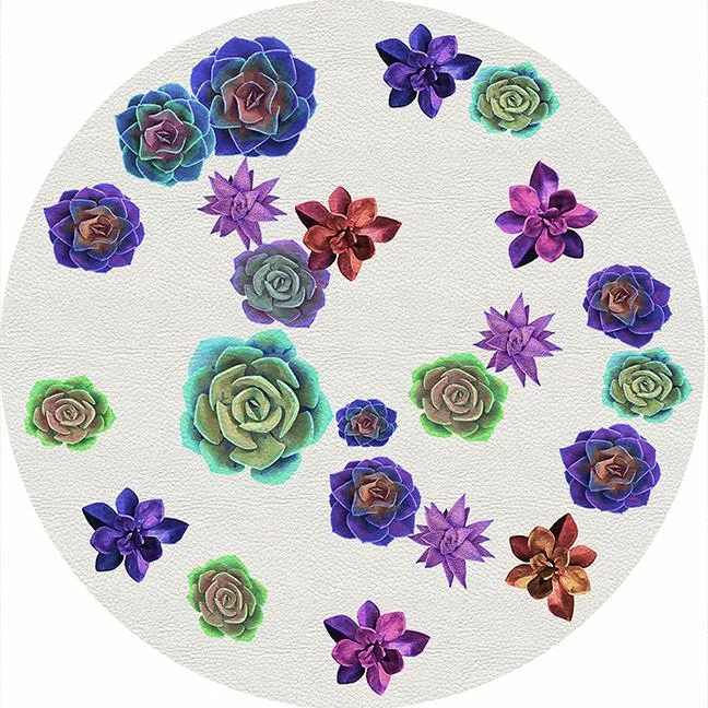 Succulents Floating Intenso 16" Round Pebble Placemat Set of 4