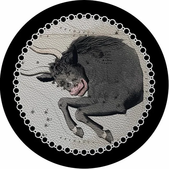 Zodiac Taurus Black 16" Round Pebble Placemat Set of 4